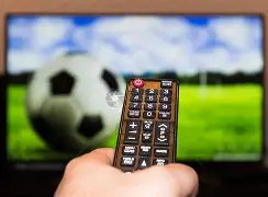 平博体育,资讯,平博体育官方,平博体育官方,平博体育在线官网,平博体育线上,平博体育APP