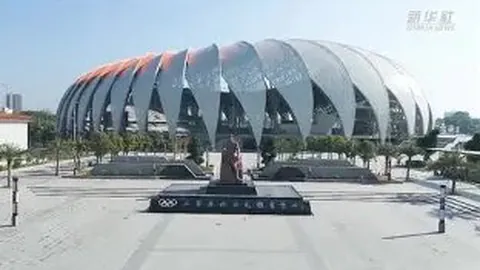 邓加揭秘：巴西足球灵魂与欧洲球员的差异，他们场上激情四溢，渴望每一刻的绿茵荣耀！